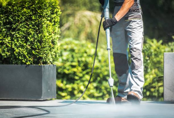 Best Building Exterior Washing  in Astor, FL