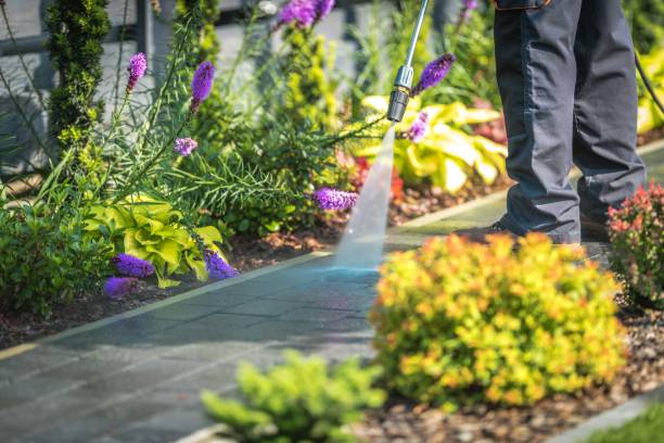 Best Spring Cleaning  in Astor, FL